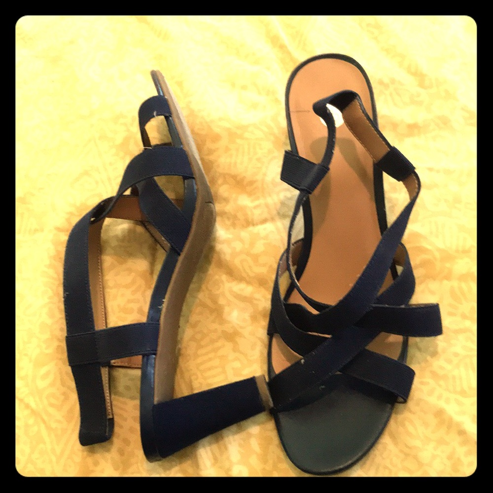 Navy Blue Sandals